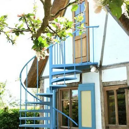 Bed and breakfast De Meidoorn Vinkem